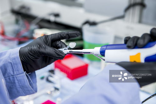攝影圖片與攝影攝像服務 捕捉生活，定格永恒